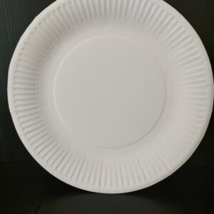 Talíř papírový bílý mělký 23 cm (100 ks)